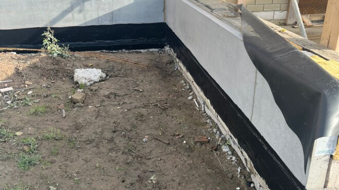 WhatsApp Image 2024-11-13 at 13.52.07