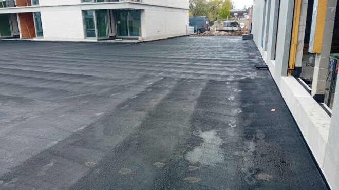 e8ba2796-20ac-46a6-84ad-9a4d49b11f81 e8ba2796-20ac-46a6-84ad-9a4d49b11f81